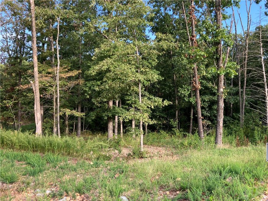 This prime lot in the new TRAIL RIDGE subdivision offers the perfect blend of convenience and nature. Located within a highly rated Bentonville school district, it features buried utilities, sewer access, and high-speed internet. Enjoy the serene, wooded surroundings and easy access to local trails including Tunnel Vision and Little Sugar. Plus, you're close to essential amenities, the Bella Vista Country Club/Golf Course, and Scottsdale Golf Course. Build your dream home with the neighborhood developer or bring your builder. The minimum build size is 1950 sf. This lot is adjacent to the Tunnel Vision trail. Don’t miss out on this unique opportunity in vibrant, growing Bella Vista, AR.