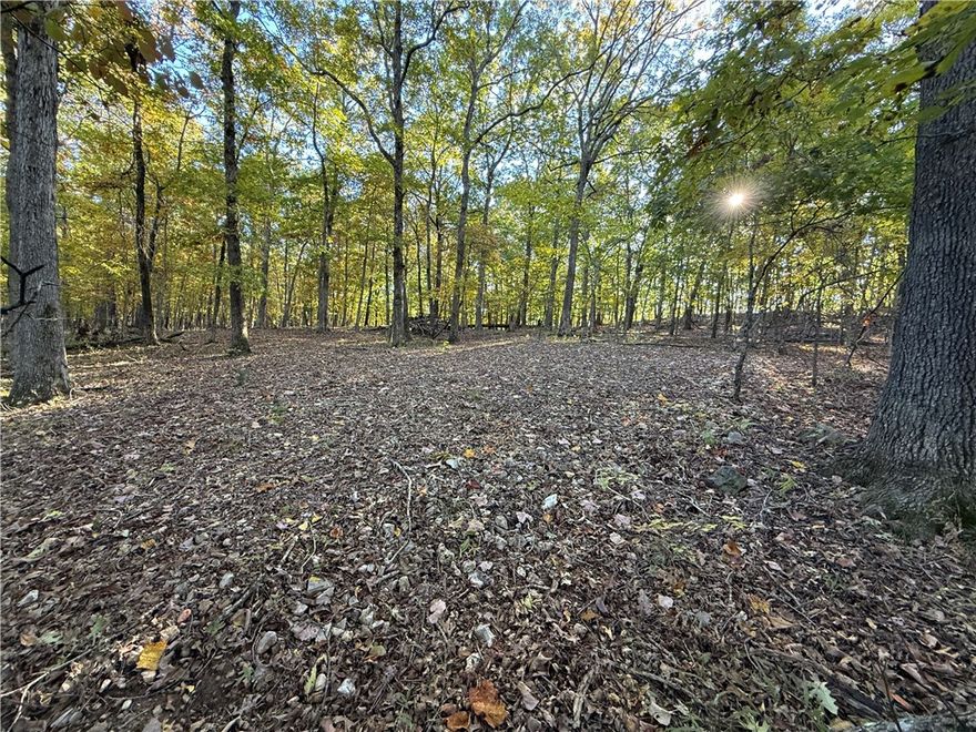 The perfect blend of seclusion and convenience with this stunning 5-acre property in the highly desirable Hills Peak Subdivision. Tucked away in the woods, this private oasis features a long, gently curving driveway that opens to a flat, buildable area — ideal for your dream home or getaway cabin. Enjoy total privacy with no neighboring homes in sight while still being just minutes from town. Electricity is available at the road; well and septic are needed. Properties like this rarely come available — a must-see setting for anyone seeking peace, nature, and beauty in the Ozarks