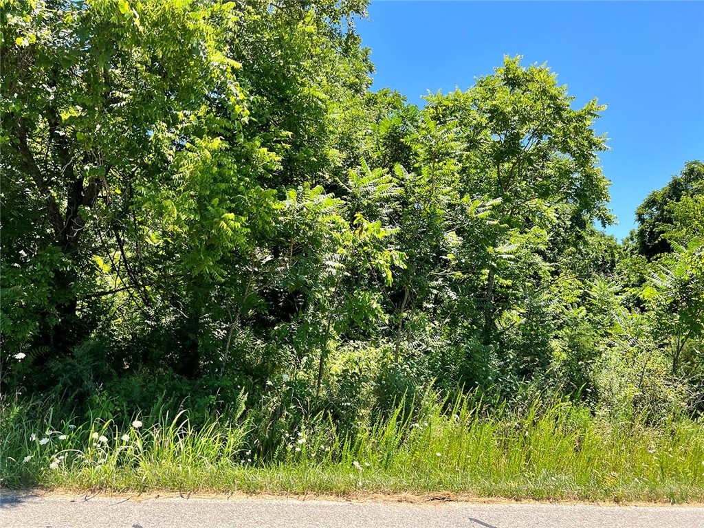 Wooded lots with development potential located in the Lost Bridge planned community. Convenient rural living located off of Highway 62 with a short drive to to Beaver Lake with multiple lake access points. For aviation enthusiasts, you're just a short 11 minutes away from the Lost Bridge Municipal Airport. Lost Bridge Village Community offers additional amenities including a recreation center, bookable community building - village hall, tennis courts, a library and a community swimming pool.