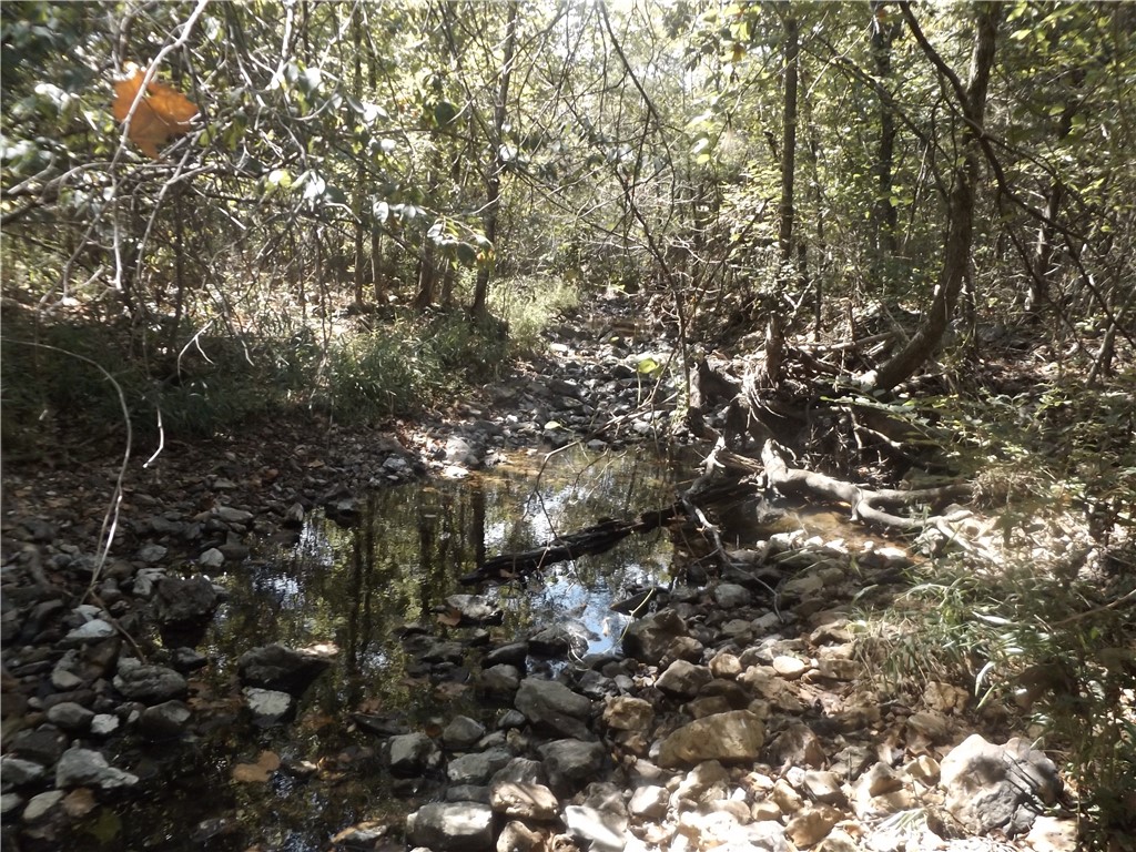Beautiful wooded 8 acre m/l ESTATE LOT with seasonal creek. Build your dream home surrounded by abundant wildlife! Situated just 5 miles from town. Only $64,000.