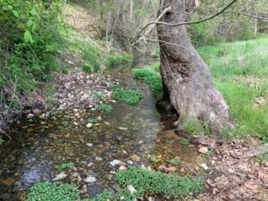 Lots of live water and room. Bring the horses and kids. 220 acres 20 minutes west of Springdale, less than 1 mile off of pavement. Approximately 1/2 open 1/2 wooded in big timber. The topography is forgiving and usable. Great location with long views and an abundance of water. Perimeter and cross fenced. 3 year around springs (one is developed). Great hunting and seclusion at the end of a private drive. 2 bedroom 2 bath 2 story cabin to make your stay comfortable. 40X80 fully enclosed barn that could be easily converted to a horse barn. These properties don't come along every day. Call to set up a showing before it is to late.