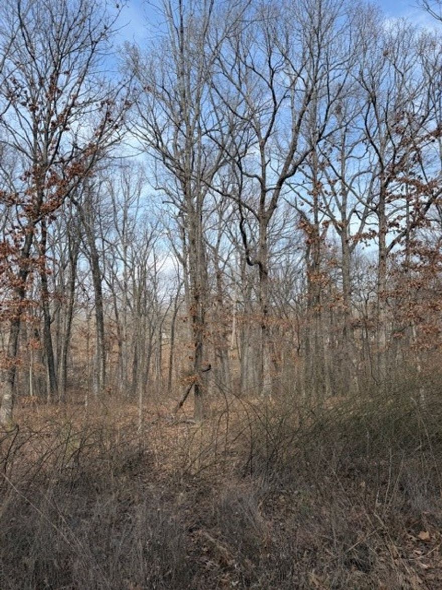 Be the first house on the street building on this lot with privacy all around! Lot has not been perc tested. Not a public sewer lot.