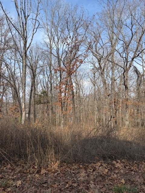 Grampian Sub Bvv - Land