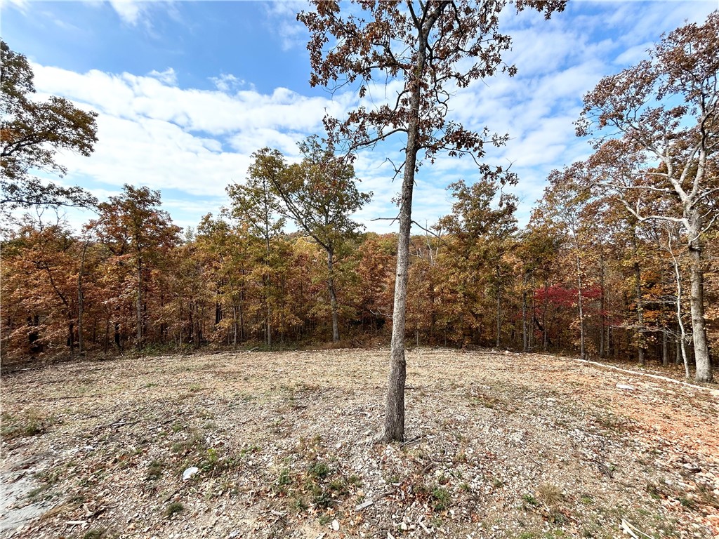 Wandsworth Sub Bvv - Residential