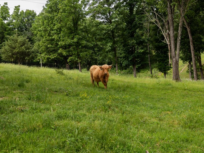 rural - Residential