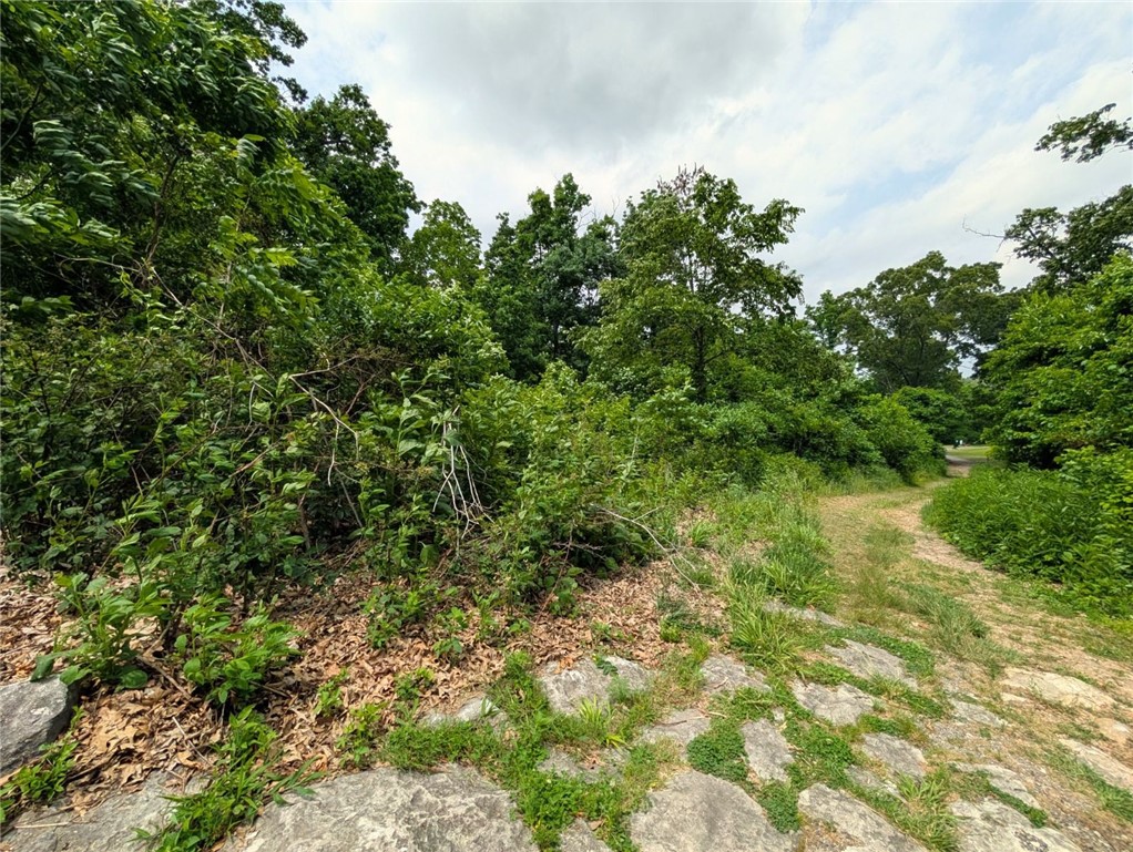 07-20-29-Pea Ridge - Land