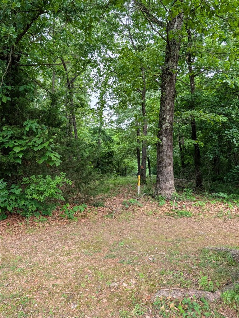 07-20-29-Pea Ridge - Land
