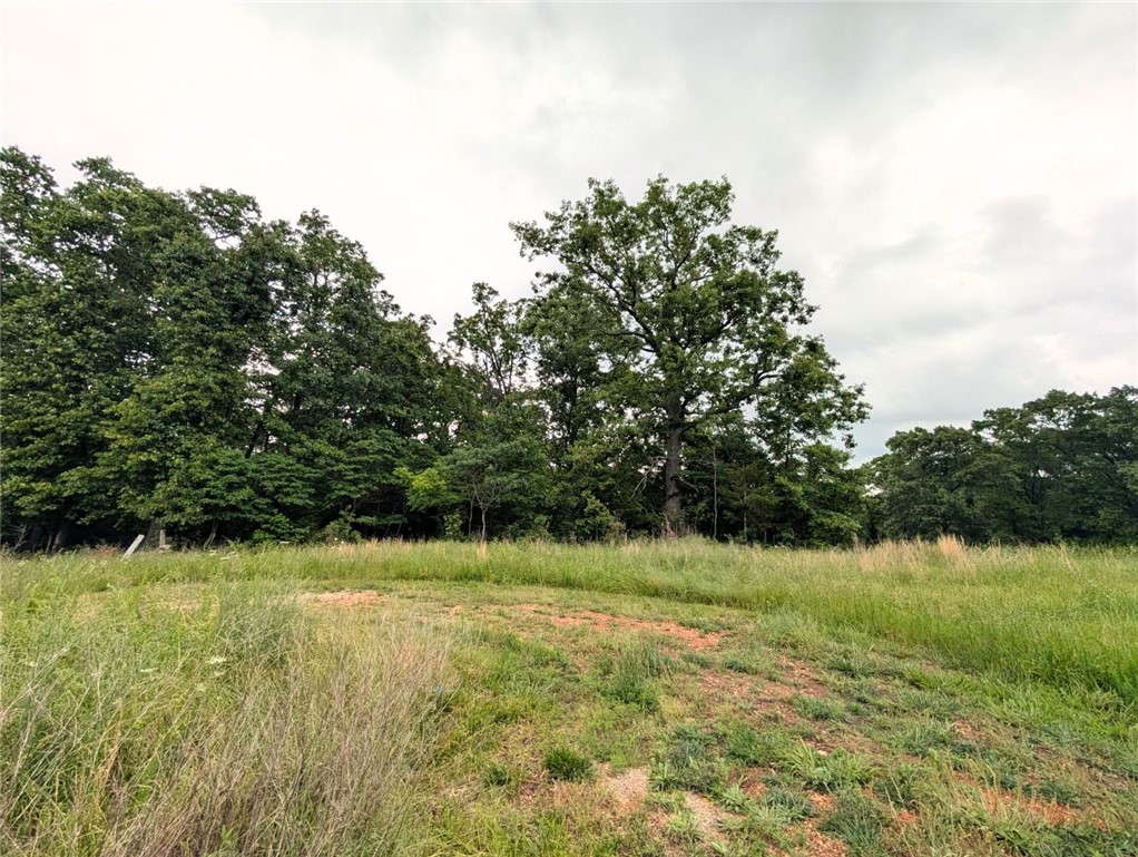 07-20-29-Pea Ridge - Land