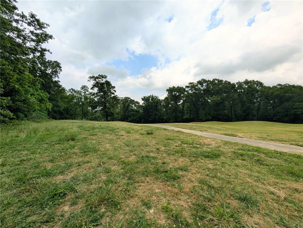 07-20-29-Pea Ridge - Land