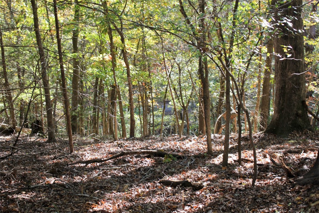 Woodlake Estates - Land