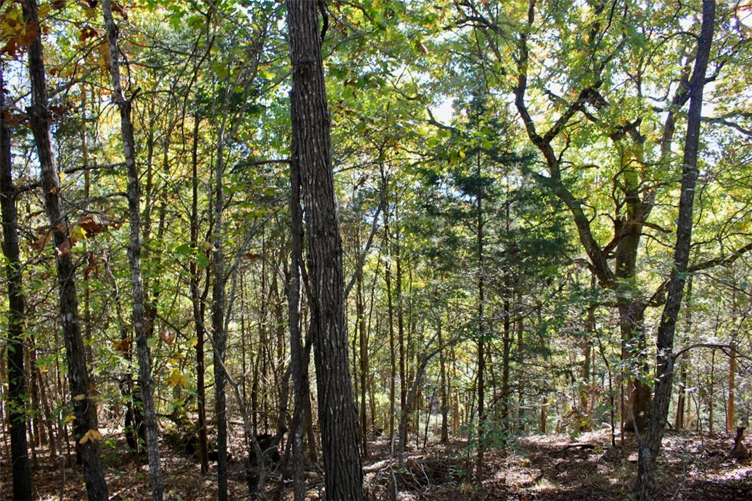 Woodlake Estates - Land