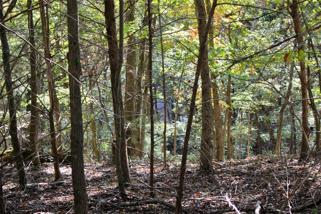 Woodlake Estates - Land