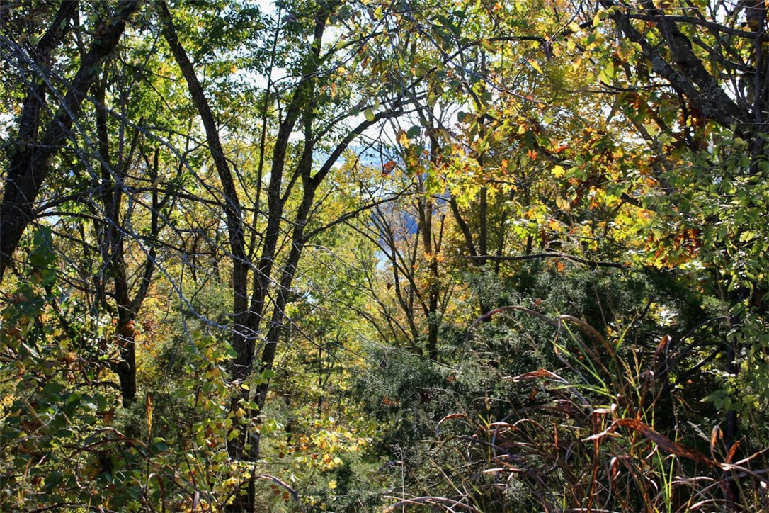 Woodlake Estates - Land