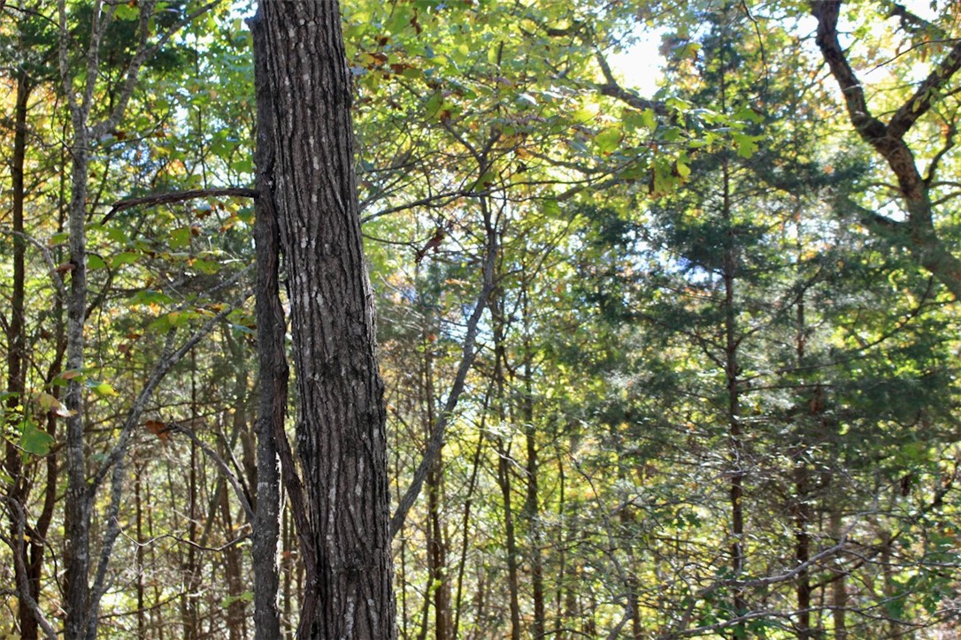 Woodlake Estates - Land