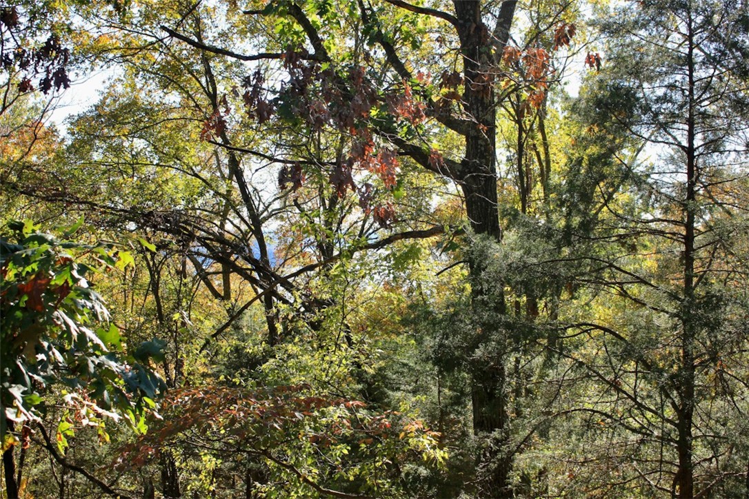 Woodlake Estates - Land