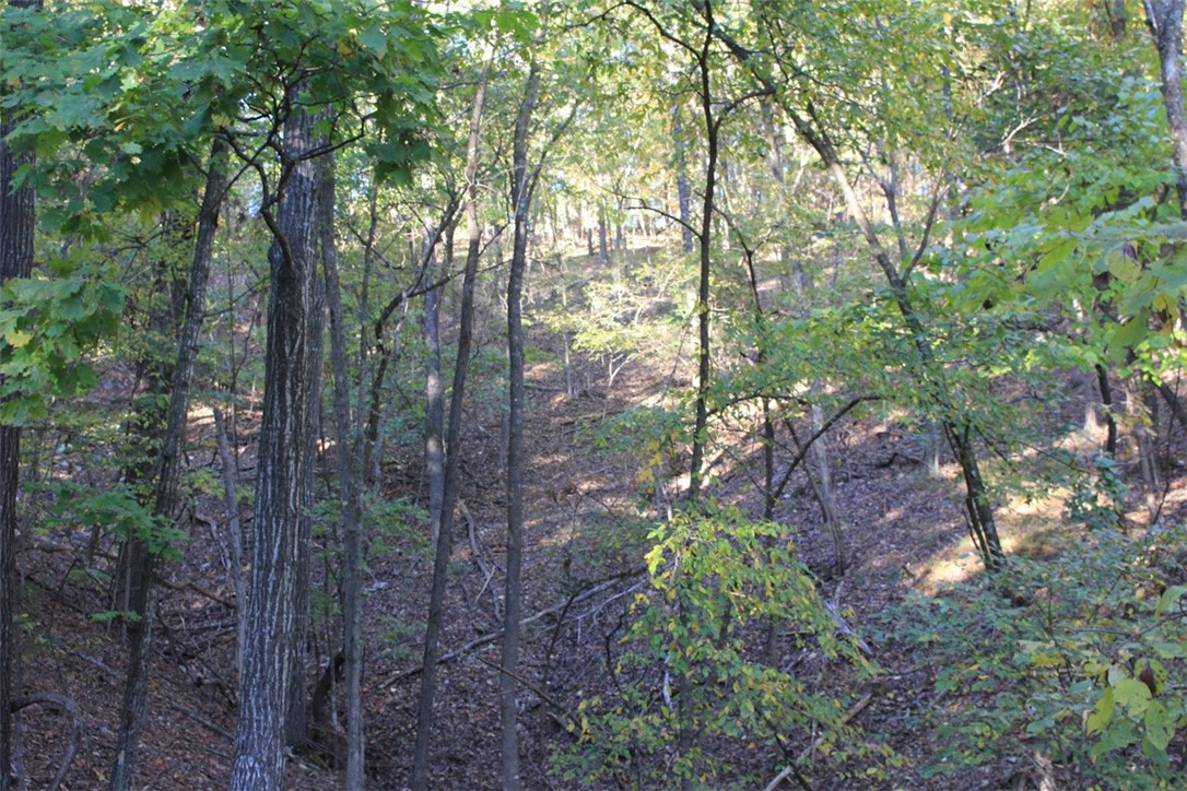 Woodlake Estates - Land