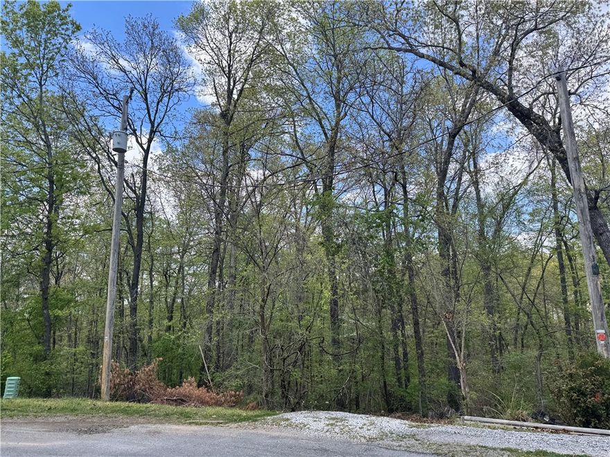 Dreaming of building in Bella Vista? This Marton Lane lot is your opportunity. Tucked in a serene setting with access to world-class trails, lakes, and golf, this property offers the ideal canvas for your custom home. Whether you're building now or investing for the future, this location delivers.