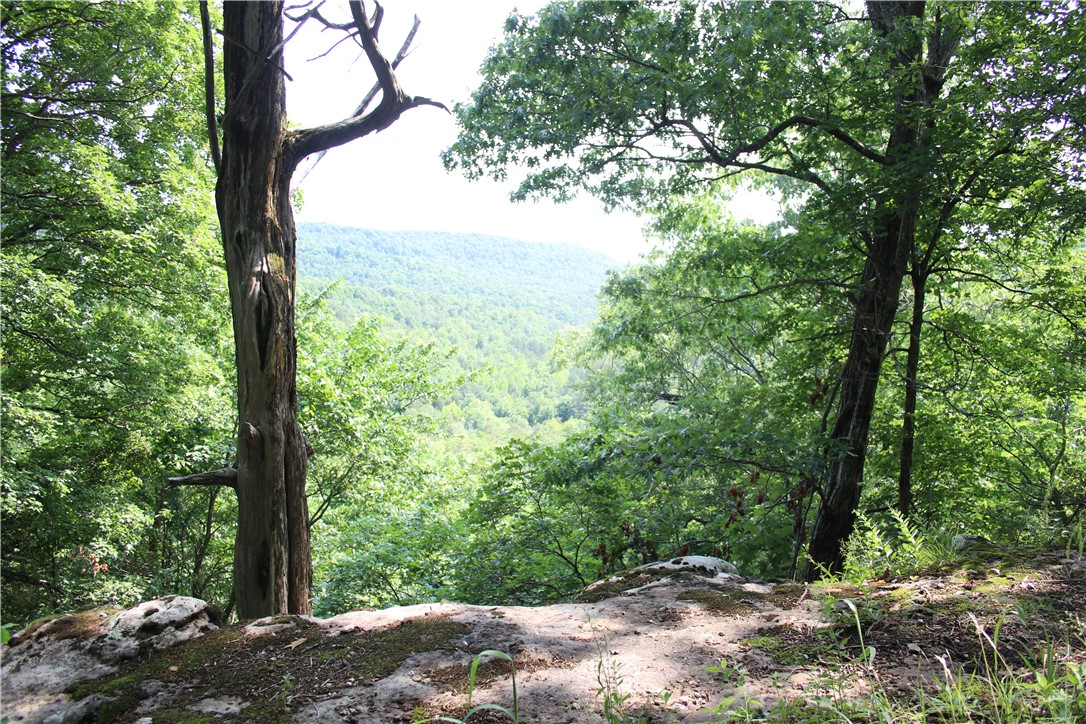243 acres m/l of beautiful mountain top recreational land. This property is located just a few miles from town and is ideal for hunting and all types of recreational use, as well as offers great building sites for your dream home. Fiber optic internet is available at this property. There are miles of trails on this property that could be used for atv's, mountain biking, horseback riding or just for nature walks. There is a nice stream that runs year around. Property also features nice rock outcroppings and 2 large caves for the explorer in your family. There is abundant wildlife for the nature enthusiast or avid hunter. There are 3 strategically placed food plots already established with clover and brassica for wildlife management of the big bucks that roam the mountain.