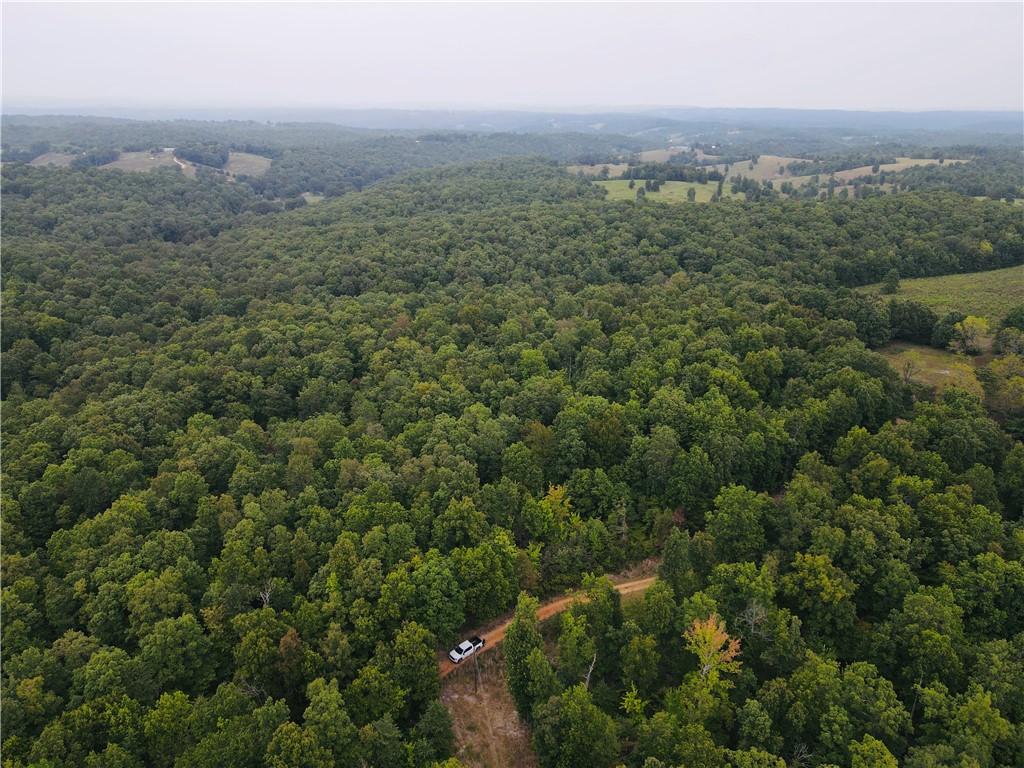 This 30 acre property sits on Persimmon Drive and offers both accessibility and privacy, just minutes from the Buffalo National River, Ozark National Forest, Sylamore WMA, Loaferās Glory WMA, and the White River. With the privacy of the fully wooded acreage, it provides plenty of space for building, recreation, or creating your own private retreat. Utilities including electric, and high-speed fiber are already available, making it an excellent choice for a hunting property, home, cabin, or getaway in the heart of the Ozarks. Wildlife pictures are on the sellers adjoining property. The seller is open to entertaining other options for more or less acreage at this location.