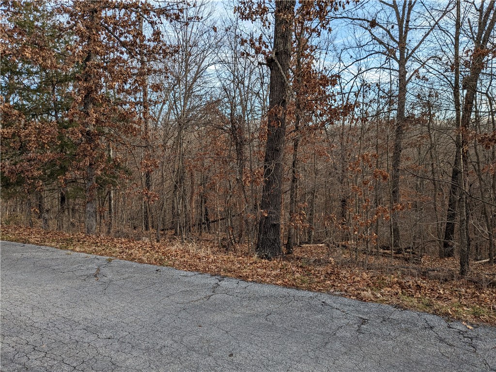 Sloping lot on Kirkcudbrightāāāāāāāāāāāāāāāāāāāāāāāāāāāāāāāā Rd.