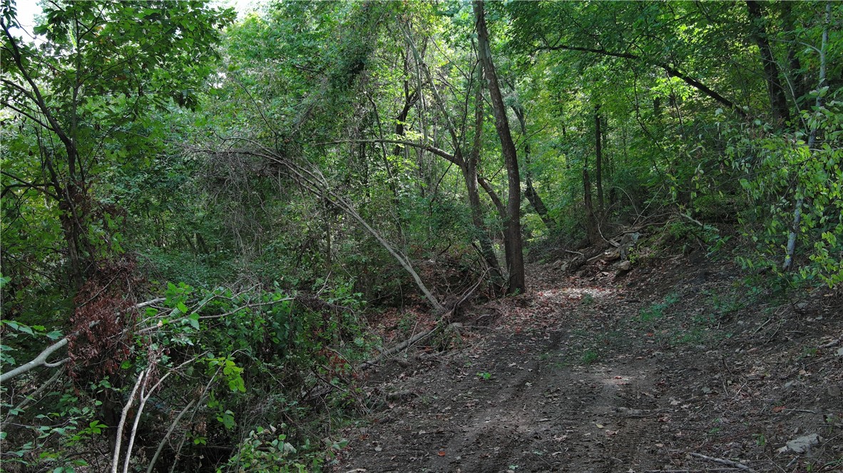 97.5 acres in Compton, AR featuring bluff lines, Edgemond Creek, and heavy hardwood timber. This private tract offers excellent hunting and recreational opportunities with abundant wildlife, year-round water, and no street view access. Dark-sky friendly location makes it perfect for stargazing, along with potential for a secluded retreat, off-grid cabin, or long-term land investment.