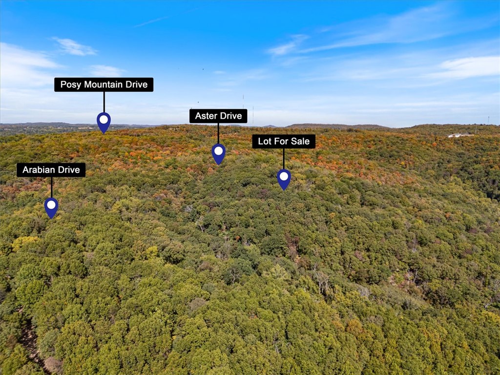 Posy Mountain Ranch Unit 7 Rurban - Land