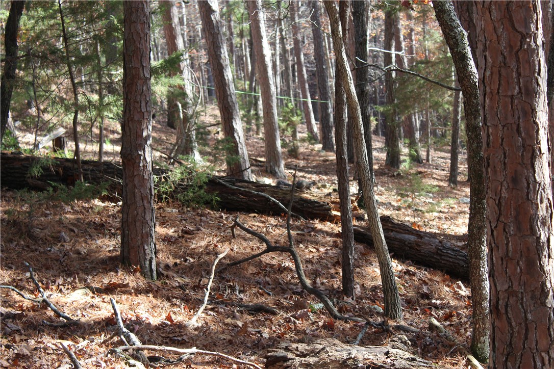 Nice Half Acre lot on Cross Street just off East Mountain. Mature pine trees and level Front. Could move home back on the lot with walk out Basement with plenty room for Garage, a rare find in this town. Build large decks on the rear with nice valley view. A Nature Lovers Delight. Close to Biking Trails.