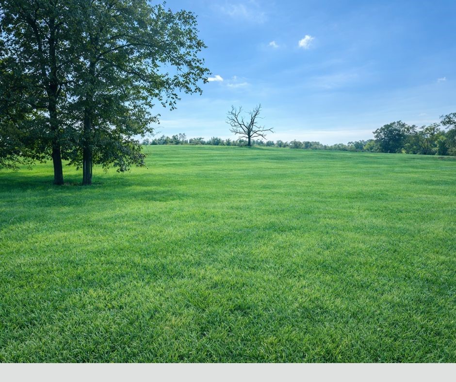 Deer Valley, Tontitown - Land