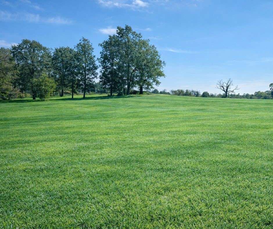 Deer Valley, Tontitown - Land