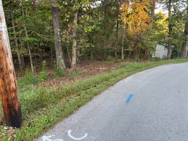 Great lake view property consisting of 2 lots totaling 0.73 acres. Build your dream home and enjoy all the amenities of Bella Vista. Back 40 bike trail is only two blocks away and POA land backs up to this property for easy access to the lake. Properties like this don't become available very often so take advantage of this opportunity.