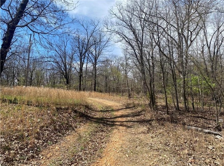 Discover the potential of this stunning 5+/- acre country retreat, perfectly situated on the desirable West side of Fayetteville. This property offers a prime hilltop location for building your dream home, surrounded by the natural beauty of mature trees that provide both seclusion and a cozy-feel. Despite its serene setting, you're just minutes from the conveniences of Tontitown, Farmington, Springdale and Fayetteville. A mobile home is included with the property, though it is being sold as-is/no value. Don't miss the chance to own this idyllic piece of land and create your own dream home setting. Driveway is quite rough so please use care. The vehicles & other items currently on the property will be removed before closing. Owner is in the process of cleaning up the area near the mobile home.