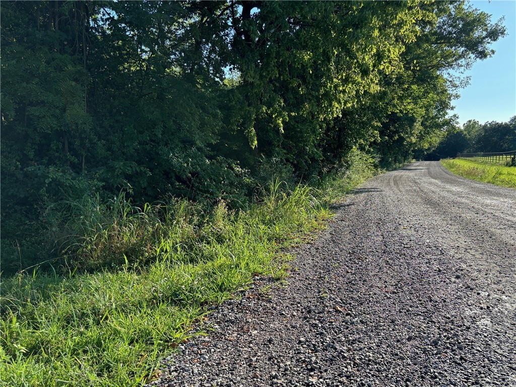 Amazing 10.31 Acres in Washington County, in a great location. Fayetteville schools and utilities at street.
The land is partially wooded and has rolling hills. The 3 acres flat pasture at the back of the property
offers multiple building sites. Enjoy your privacy and still be close to everything Fayetteville has to offer.
Located off HWY 112 and makes for an easy commute to Bentonville and XNA. This is a nice area with
large parcels of land. There is a 3,200 sq ft open grain bin/storage constructed with repurposed tires -
tarp or roof needed to encapsulate. The seller makes no guarantees or warranties and assumes no
responsibility on the property information. Buyers are encouraged to perform their own due diligence and
verify the accuracy and completeness of all information regarding the property.