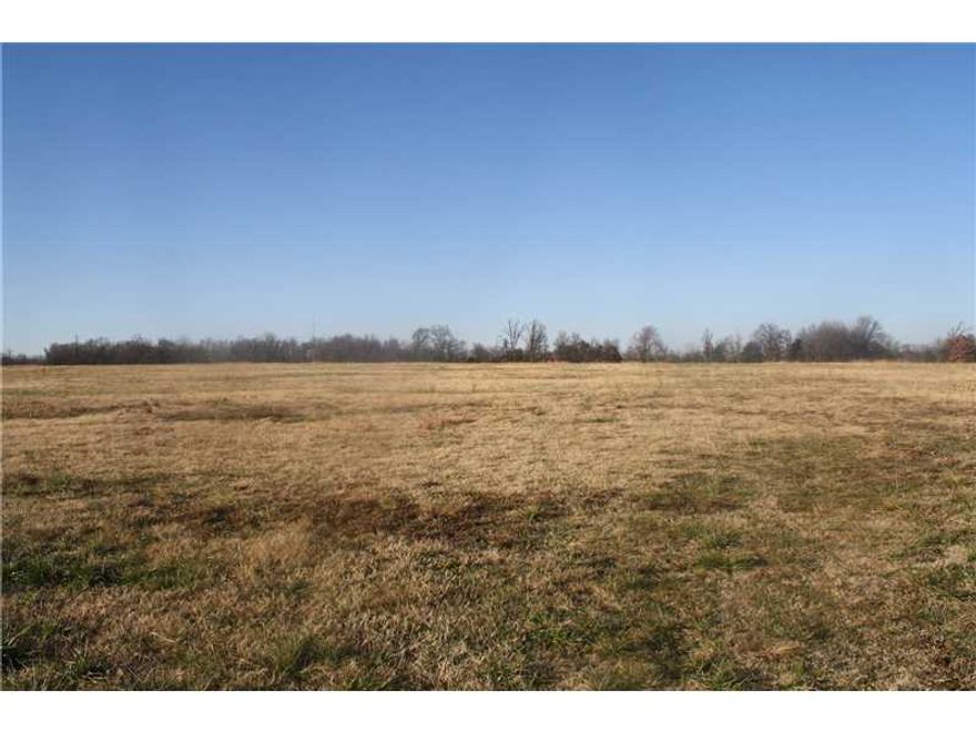 Great Development Potential !  Must see this beautiful, 60+ acre property to appreciate!   Property is level and mostly cleared with beautiful trees in the SE corner, with 2,659 sq ft of highway frontage.,Just 3.9 miles SW of new high school location!