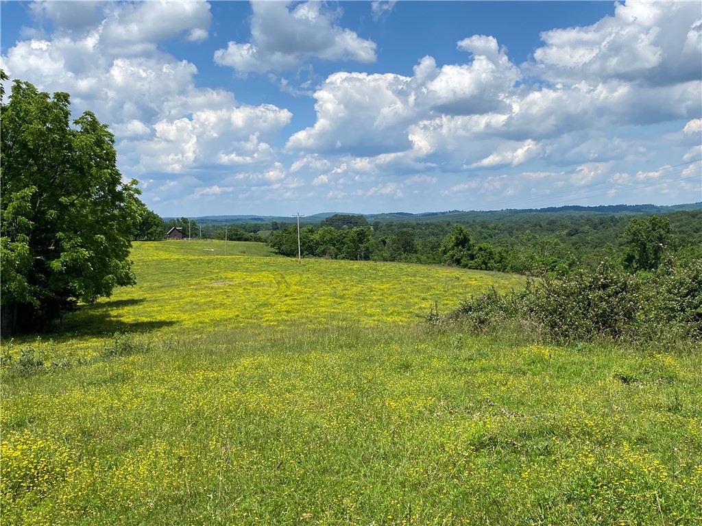 210 acres of rural property only minutes to Beaver Lake and Hogscald Public lake access. Property currently being used as a cattle farm. Small cabin on property but needs work and currently given minimal to no value. Property has beautiful views, plenty of options for cattle, hunting, or a weekend getaway. Property has been logged but plenty of beautiful mature trees on the property.