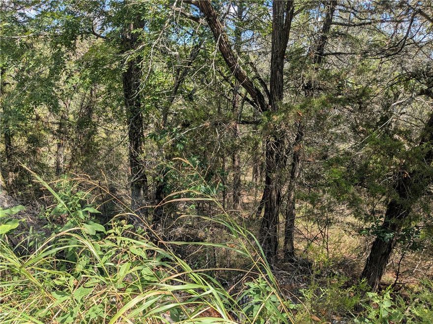 New Price!! This won't last long, so if you're thinking of building your dream home reach out today to plan your tomorrow! Quiet and gently wooded within a neighborhood, this lot nestled near the lake offers the best of both worlds. Enjoy the amenities in Holiday Island like golf courses, a country club, swimming, tennis and a marina with a fishing dock or watch the local fauna from your front porch! Nearby Eureka Springs or Rogers offers great shopping and vibrant cultural hubs.