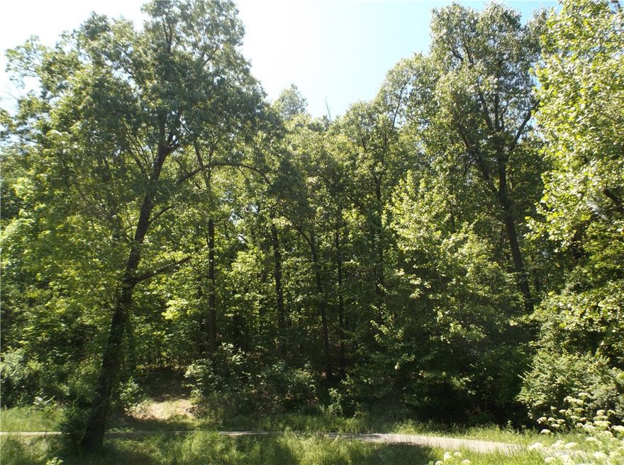 Private country setting just a few minutes to Fayetteville or Farmington.  All utilities at street. Build your dream home here.