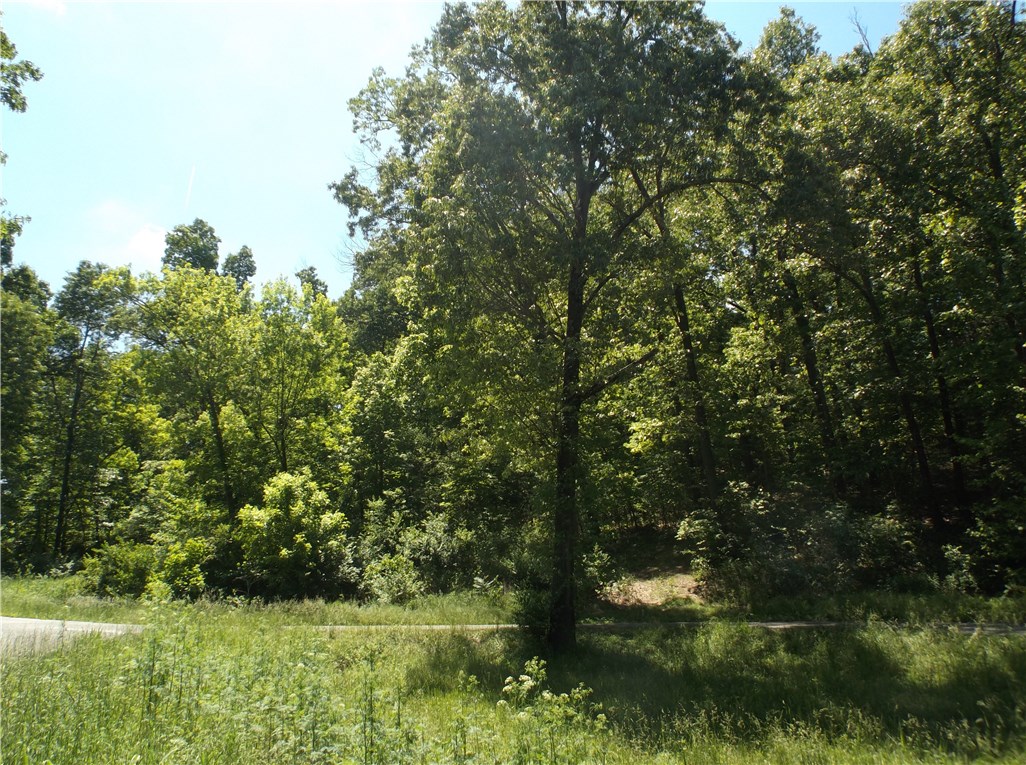 Burlington Heights Sub - Land