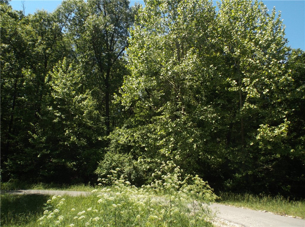 Burlington Heights Sub - Land