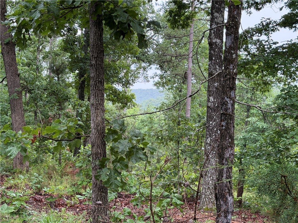 OFF OF Morgan Cave Road