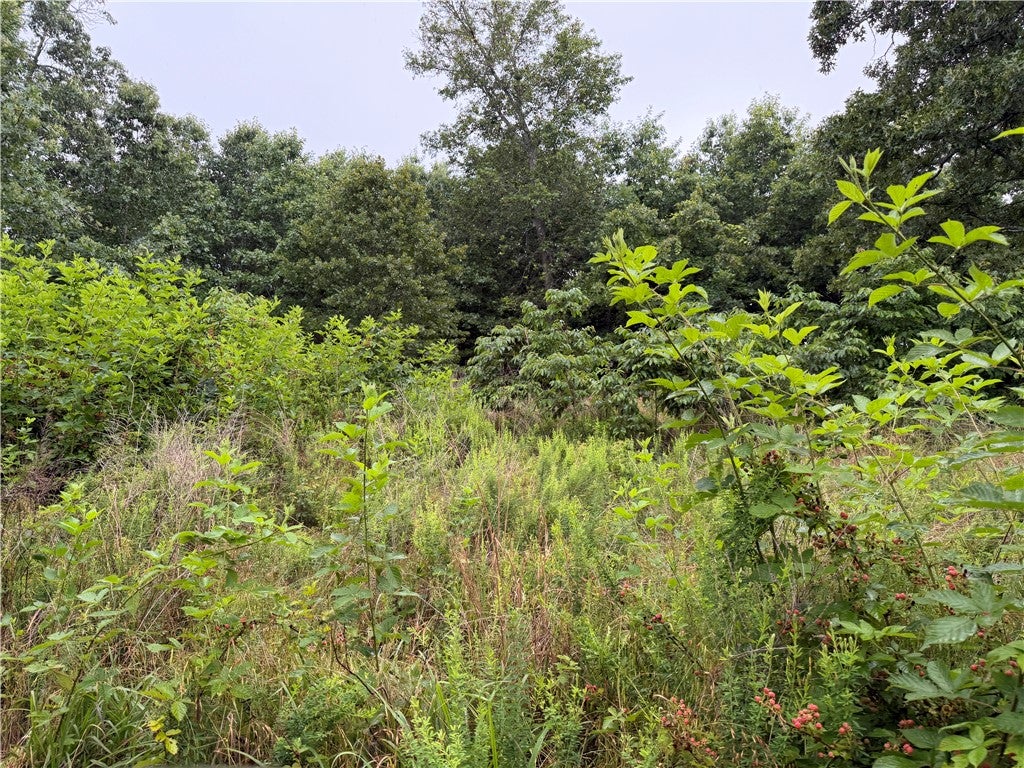 OFF OF Morgan Cave Road