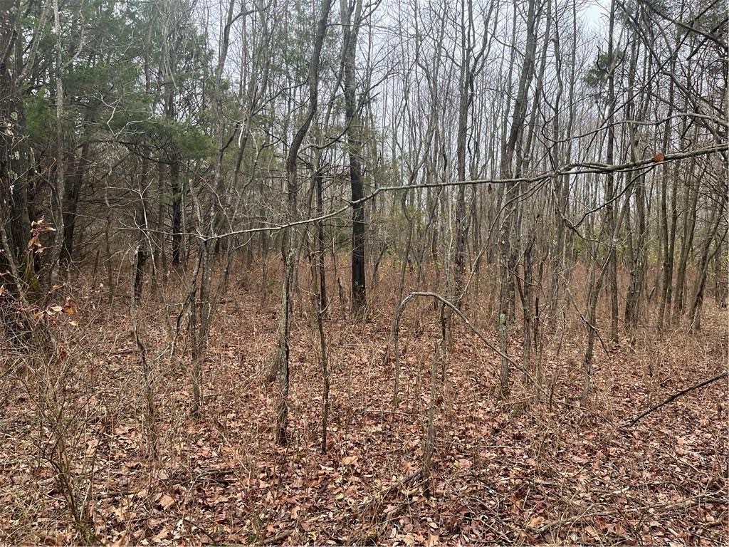 Flat lot in Bellavista, ready to be built on.
4 minutes from highway and 3 minutes from Walmart supercenter.