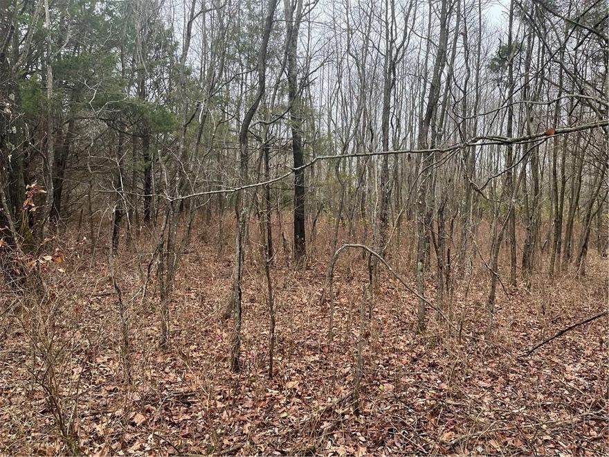 Flat lot in Bellavista, ready to be built on. 
4 minutes from highway and 3 minutes from Walmart supercenter.