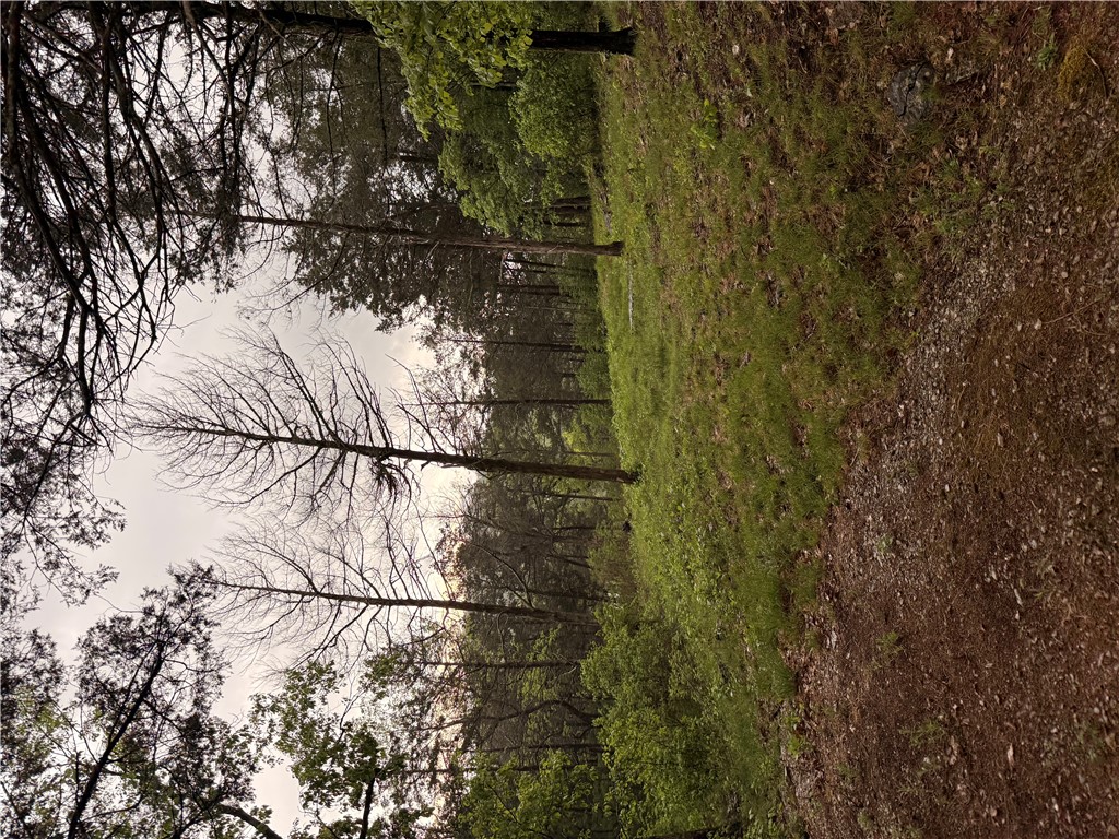 OAKS LANDING ON TABLE ROCK LAKE - Land