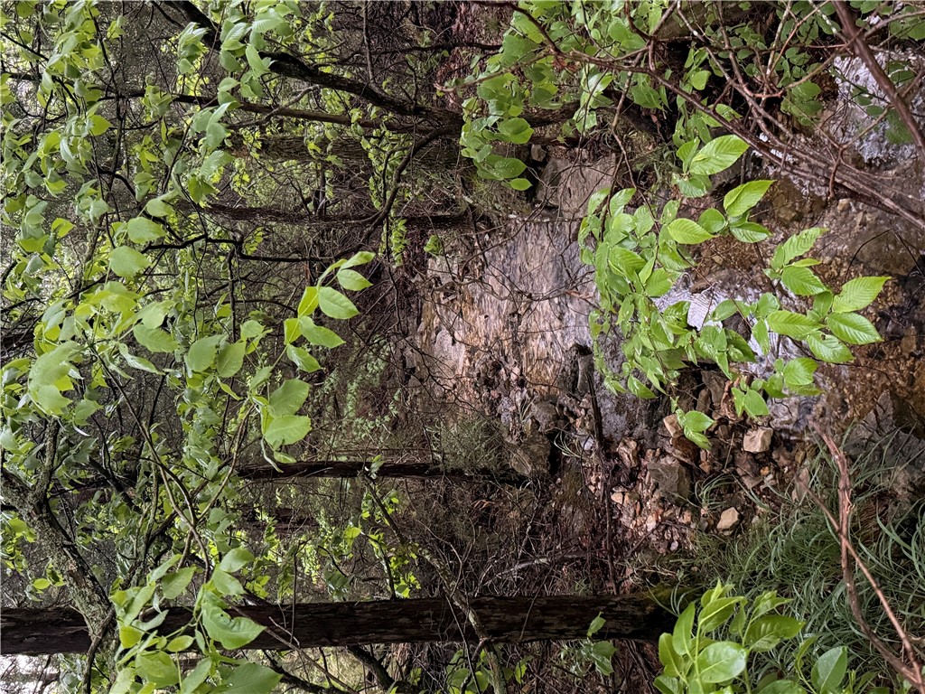 OAKS LANDING ON TABLE ROCK LAKE - Land