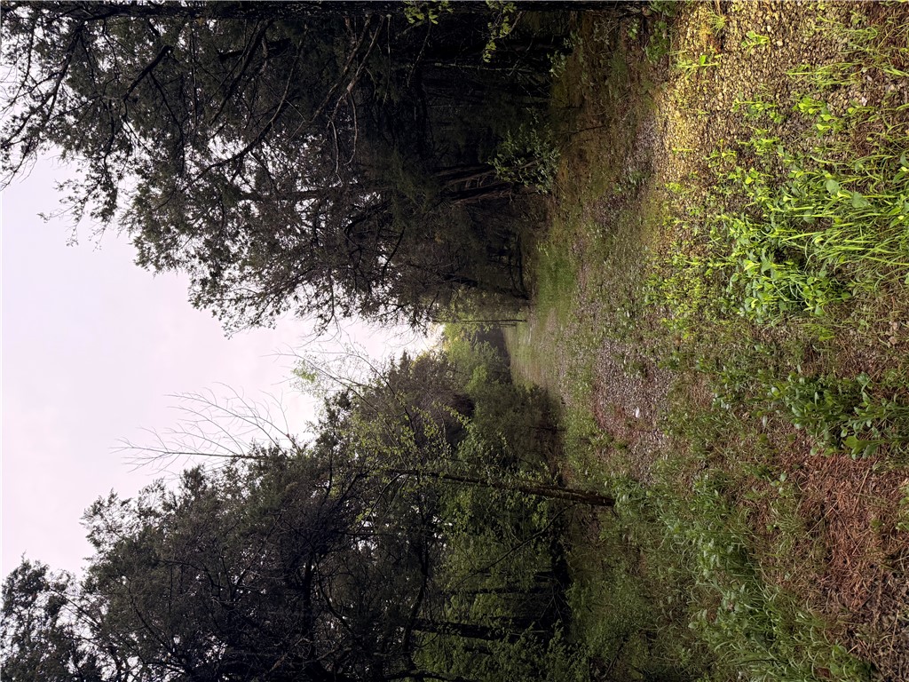 OAKS LANDING ON TABLE ROCK LAKE - Land