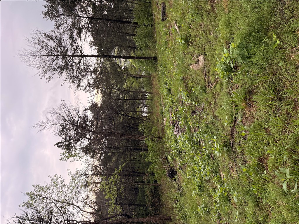OAKS LANDING ON TABLE ROCK LAKE - Land