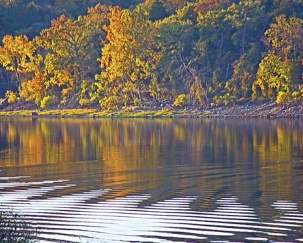 Unit 119 Holiday Island - Land