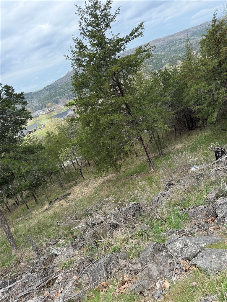 Unit 119 Holiday Island - Land