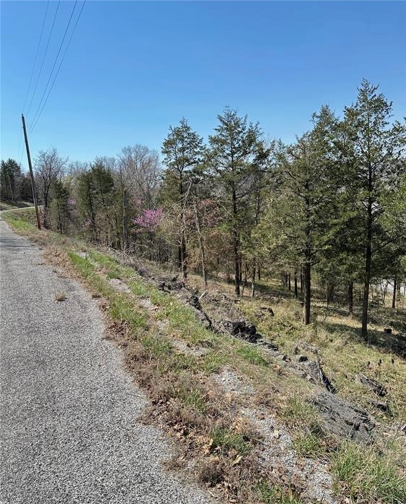 Unit 119 Holiday Island - Land