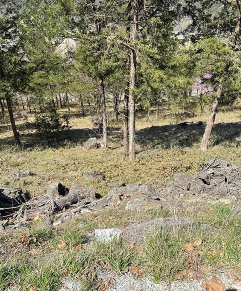 Unit 119 Holiday Island - Land